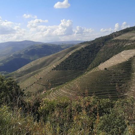 Douro Valley - Casa Da Praca Ervedosa do Douro Esterno foto