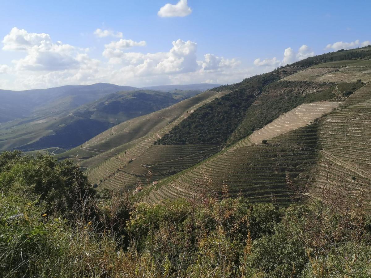 Douro Valley - Casa Da Praca Ervedosa do Douro Esterno foto