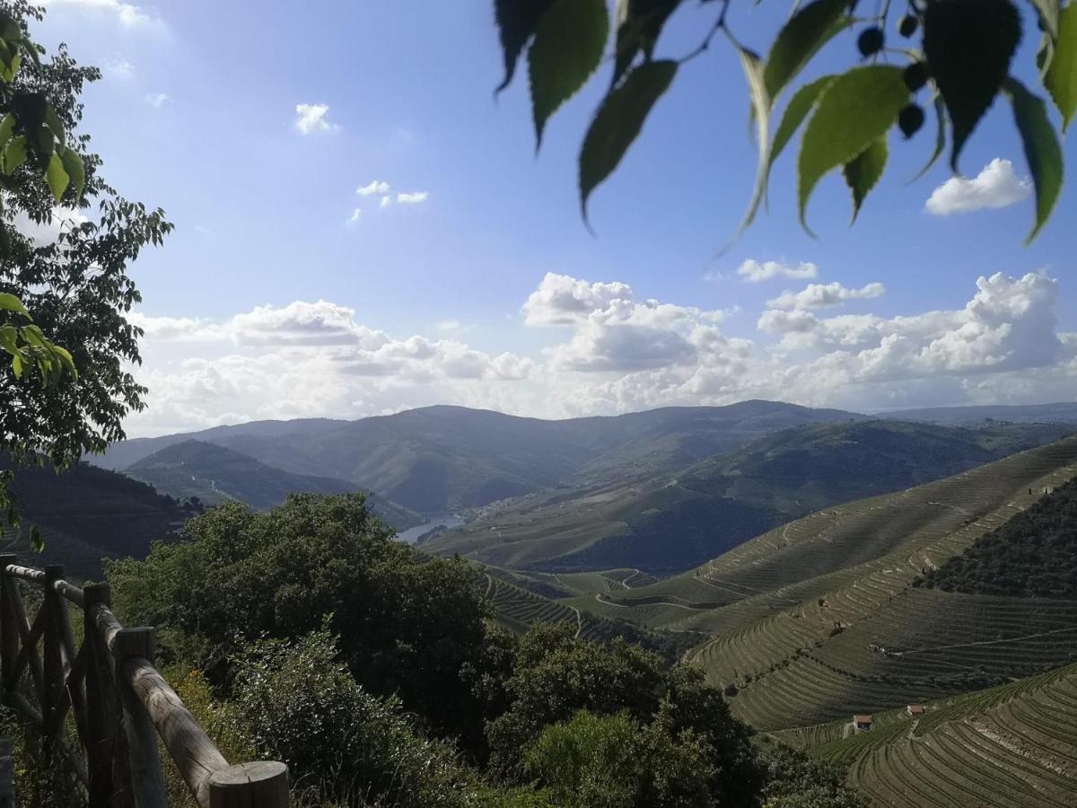 Douro Valley - Casa Da Praca Ervedosa do Douro Esterno foto